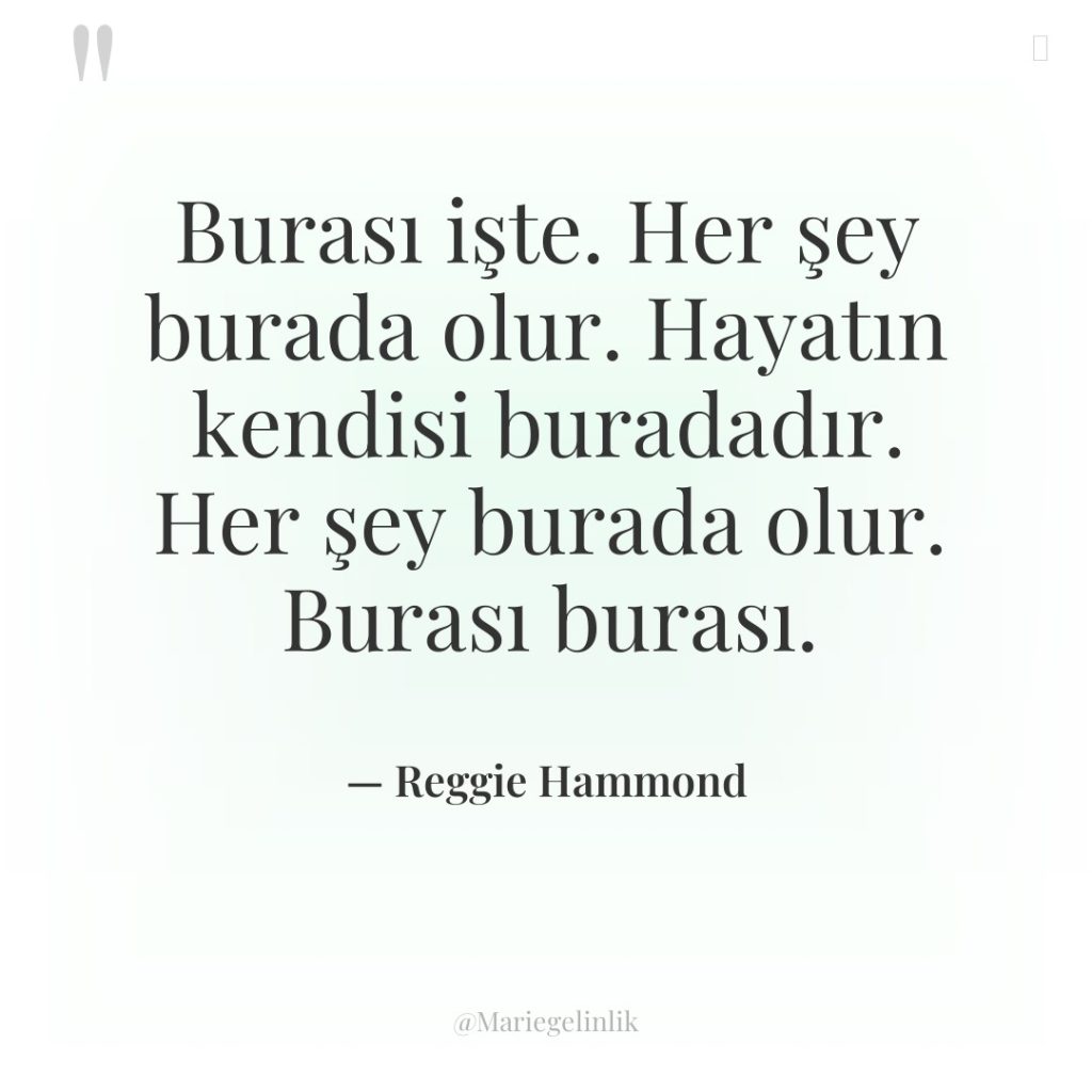 Burası işte. Her şey burada olur. Hayatın kendisi buradadır. Her…