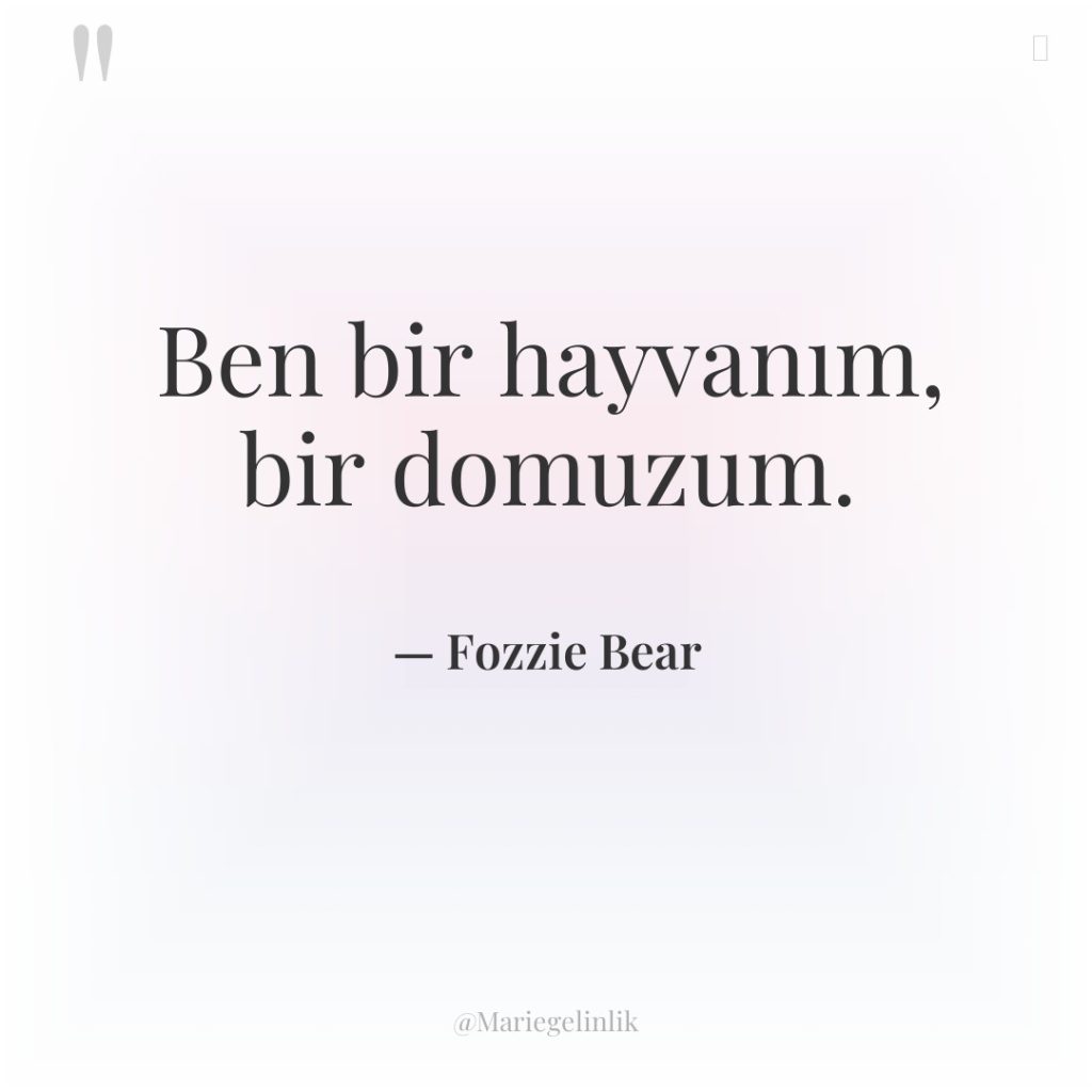 Ben bir hayvanım, bir domuzum.