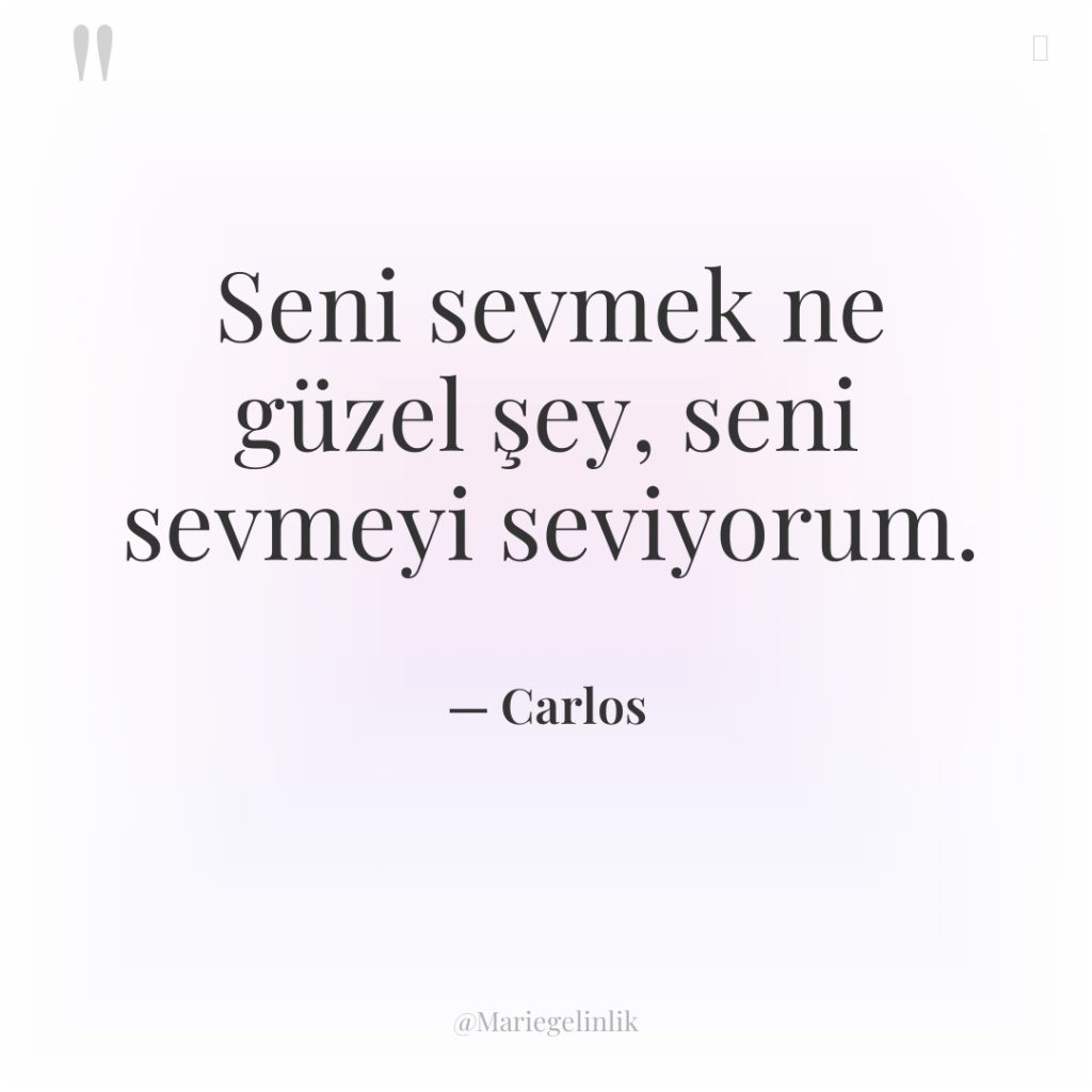 Seni sevmek ne güzel şey, seni sevmeyi seviyorum.