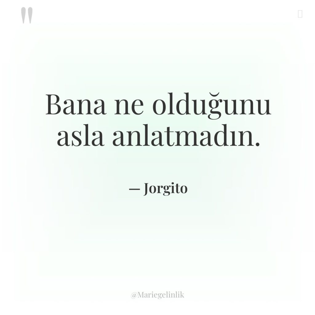 Bana ne olduğunu asla anlatmadın.