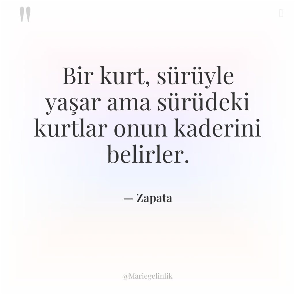 Bir kurt, sürüyle yaşar ama sürüdeki kurtlar onun kaderini belirler.