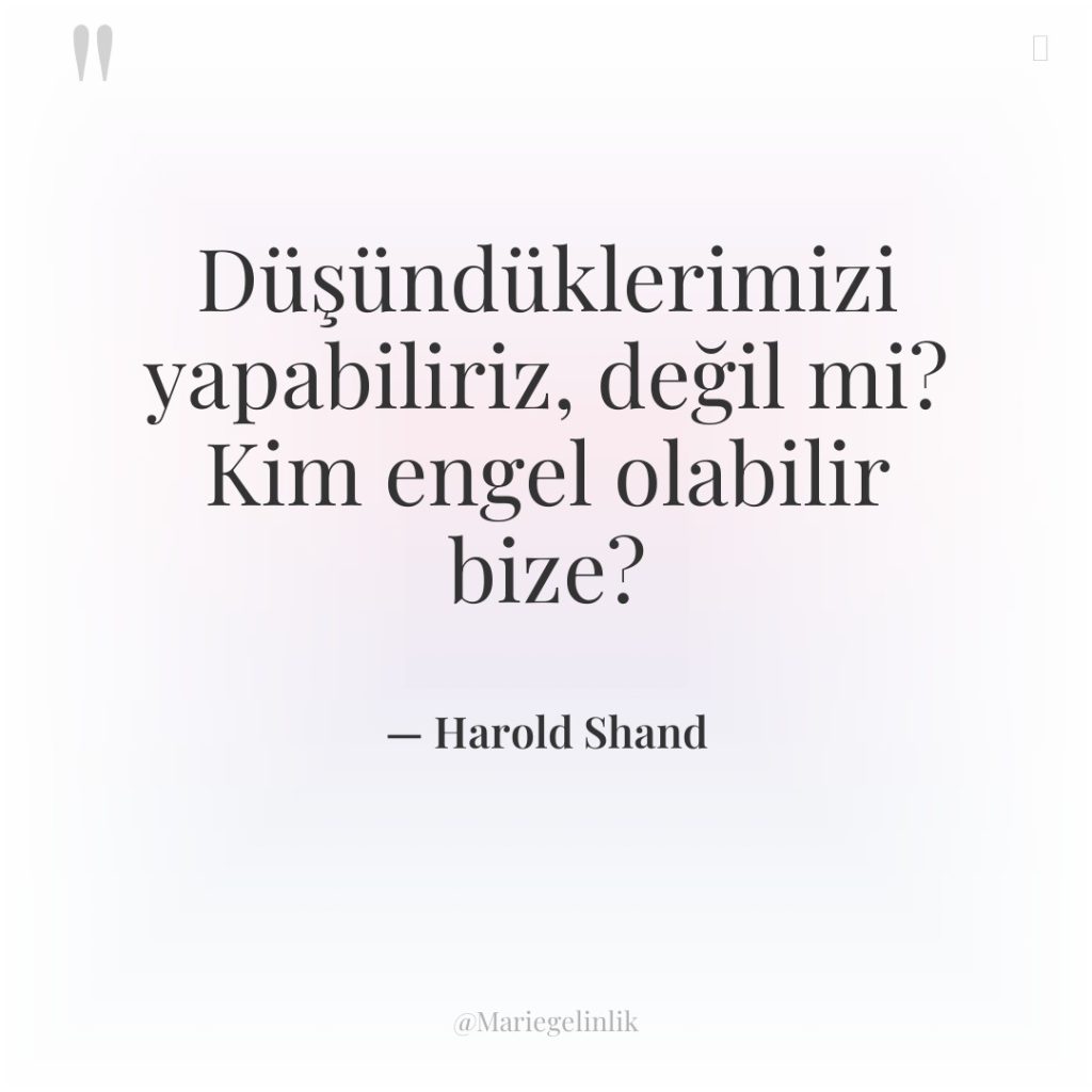 Düşündüklerimizi yapabiliriz, değil mi? Kim engel olabilir bize?