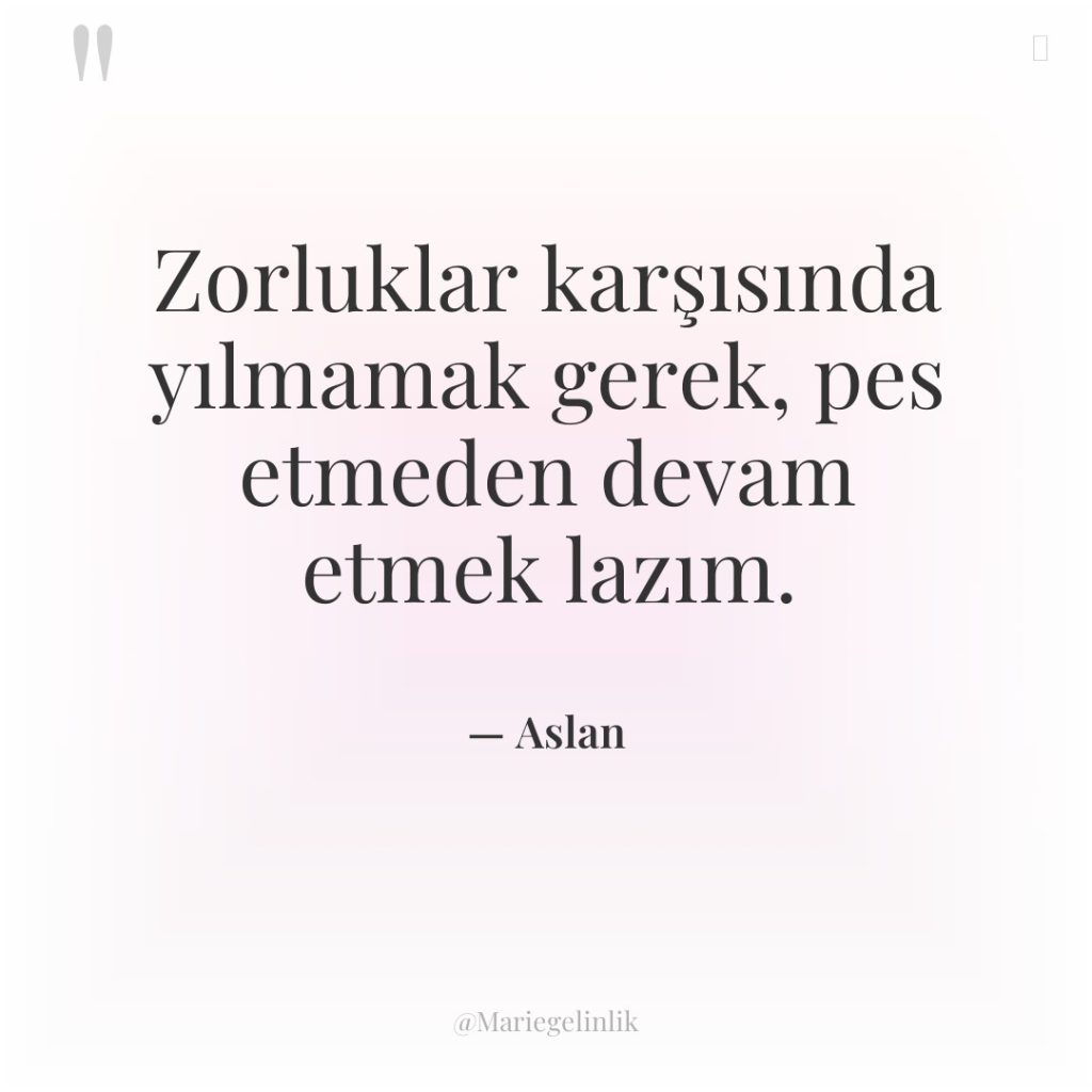 Zorluklar karşısında yılmamak gerek, pes etmeden devam etmek lazım.