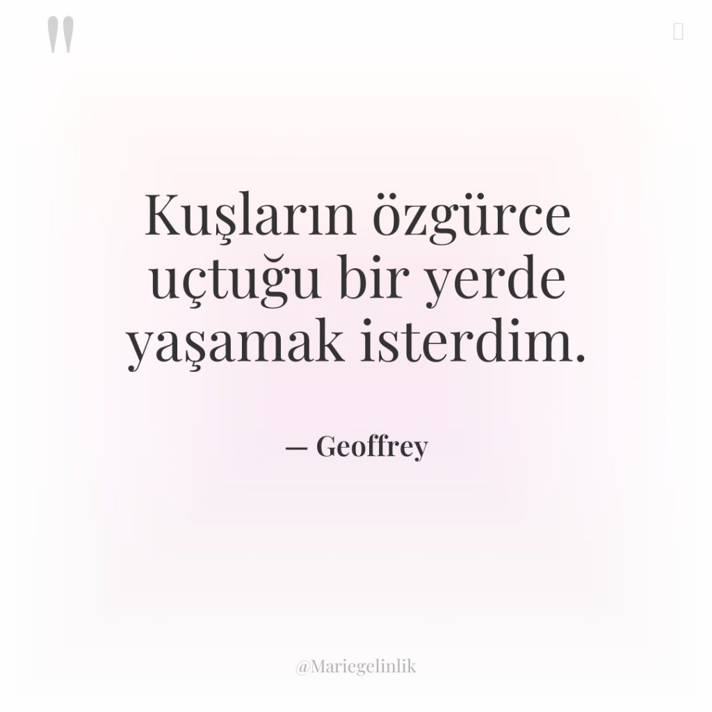 Kuşların özgürce uçtuğu bir yerde yaşamak isterdim.