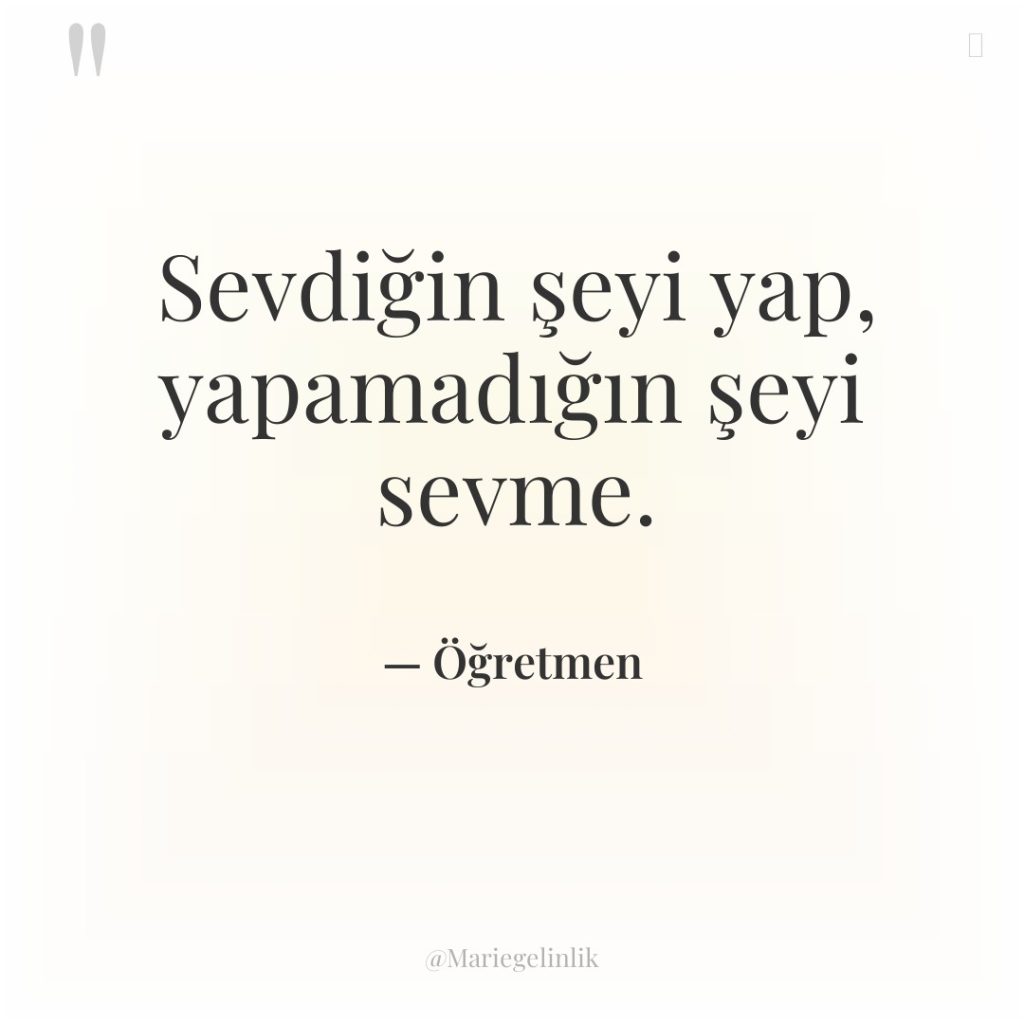 Sevdiğin şeyi yap, yapamadığın şeyi sevme.