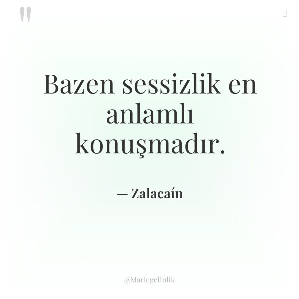 Bazen sessizlik en anlamlı konuşmadır.