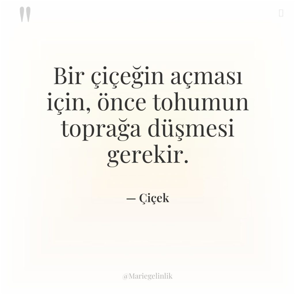 Bir çiçeğin açması için, önce tohumun toprağa düşmesi gerekir.