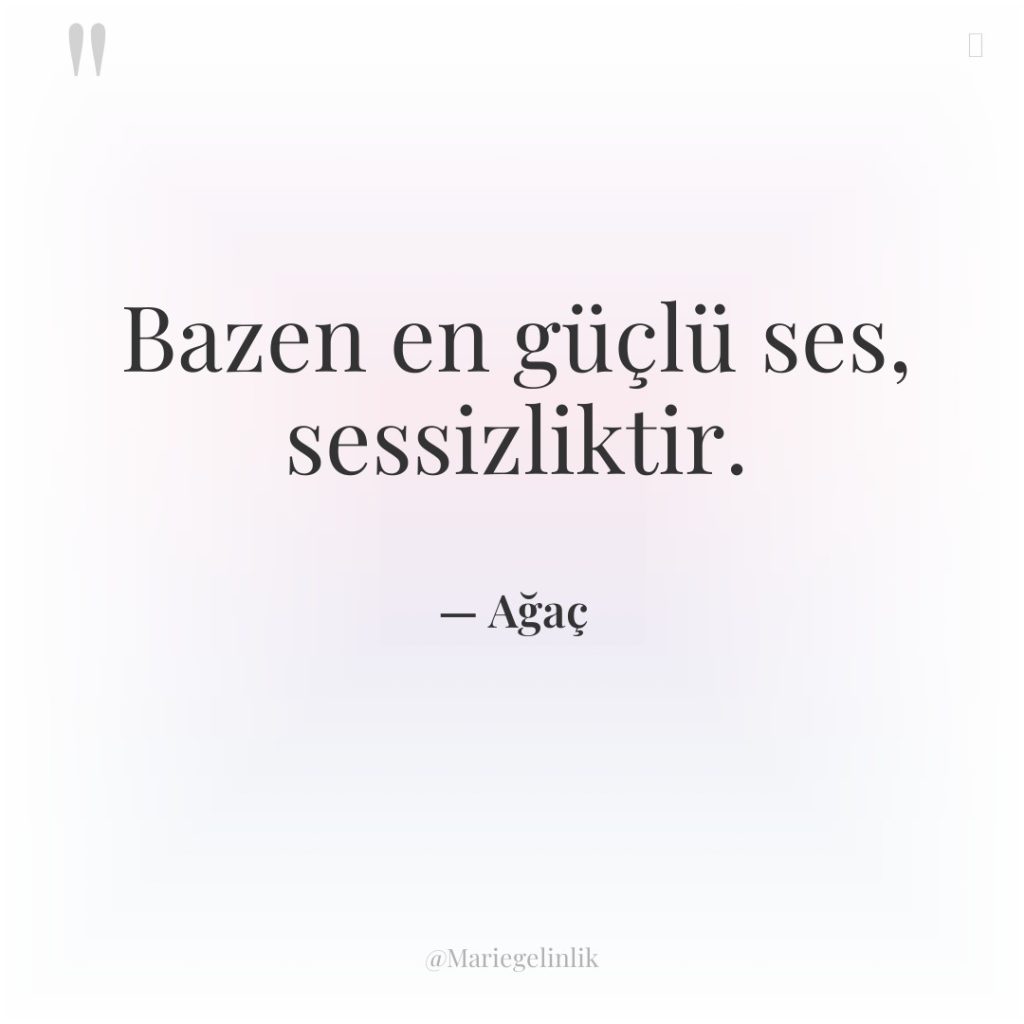 Bazen en güçlü ses, sessizliktir.