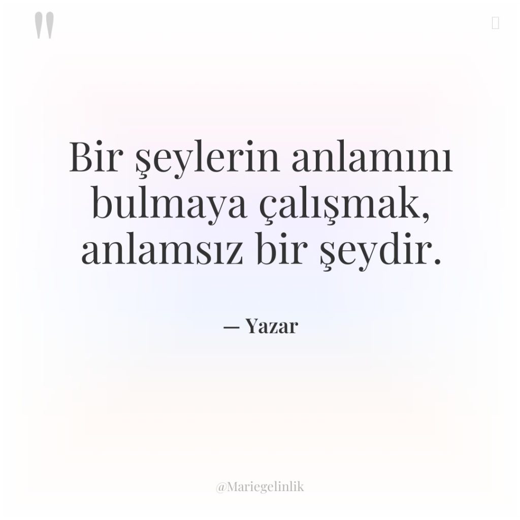 Bir şeylerin anlamını bulmaya çalışmak, anlamsız bir şeydir.