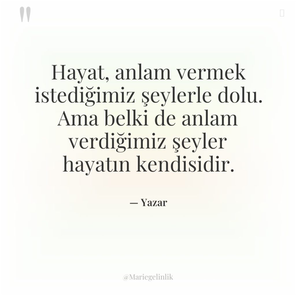 Hayat, anlam vermek istediğimiz şeylerle dolu. Ama belki de anlam…