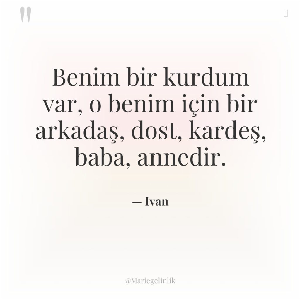 Benim bir kurdum var, o benim için bir arkadaş, dost,…