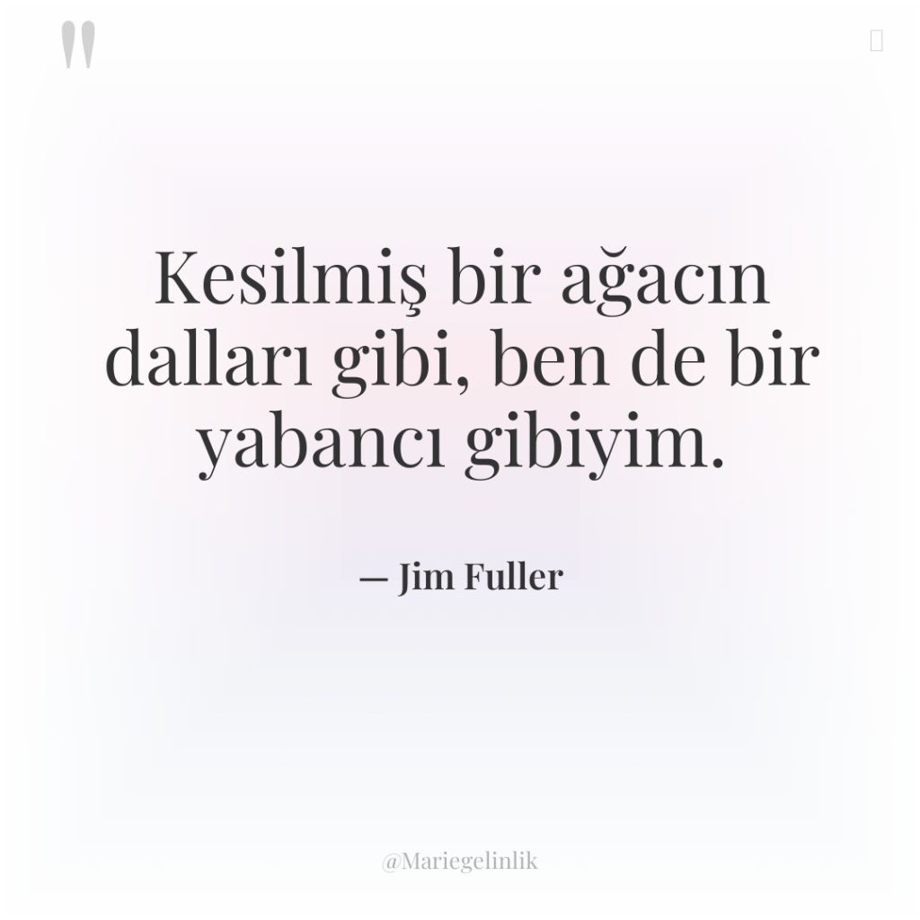 Kesilmiş bir ağacın dalları gibi, ben de bir yabancı gibiyim.