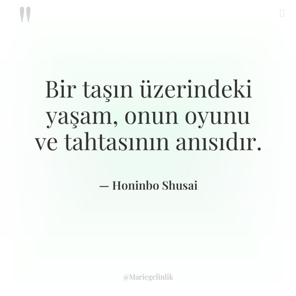 Bir taşın üzerindeki yaşam, onun oyunu ve tahtasının anısıdır.