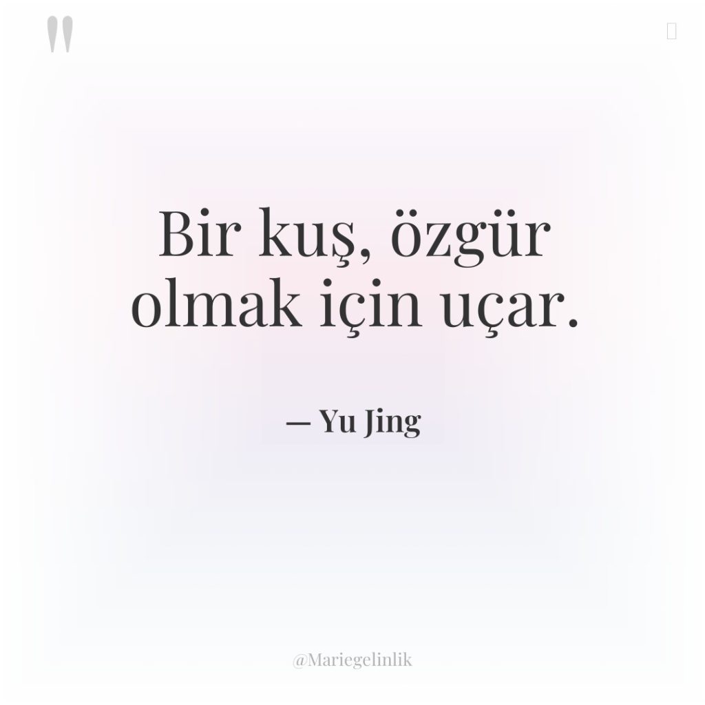 Bir kuş, özgür olmak için uçar.