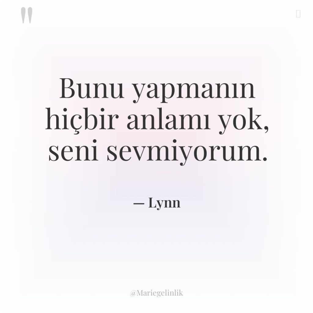 Bunu yapmanın hiçbir anlamı yok, seni sevmiyorum.