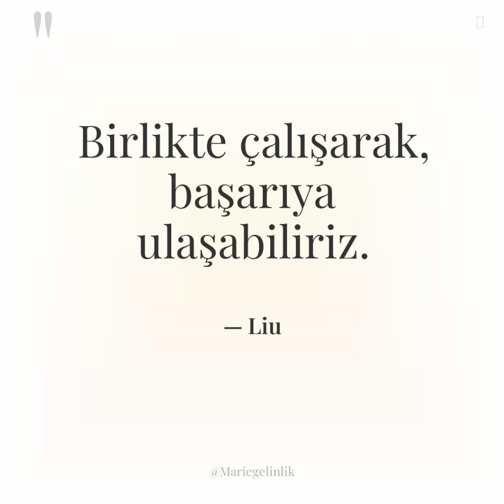 Birlikte çalışarak, başarıya ulaşabiliriz.