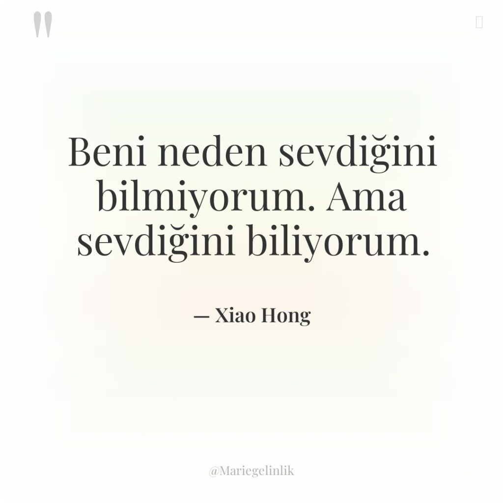 Beni neden sevdiğini bilmiyorum. Ama sevdiğini biliyorum.