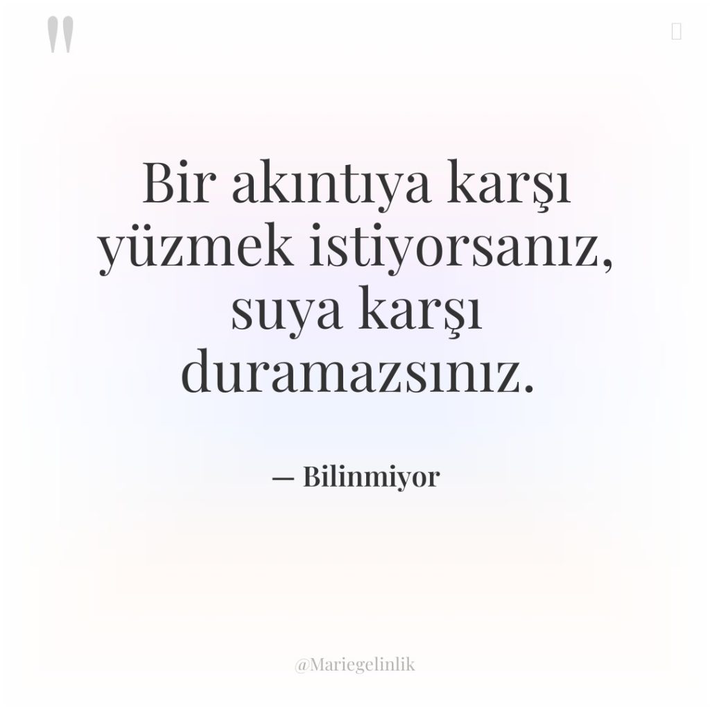 Bir akıntıya karşı yüzmek istiyorsanız, suya karşı duramazsınız.