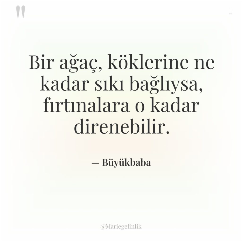 Bir ağaç, köklerine ne kadar sıkı bağlıysa, fırtınalara o kadar…