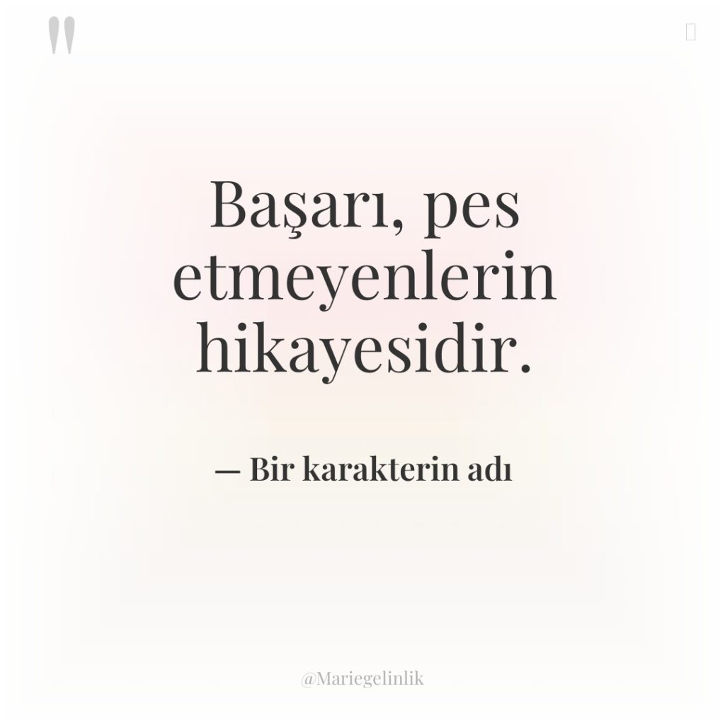 Başarı, pes etmeyenlerin hikayesidir.