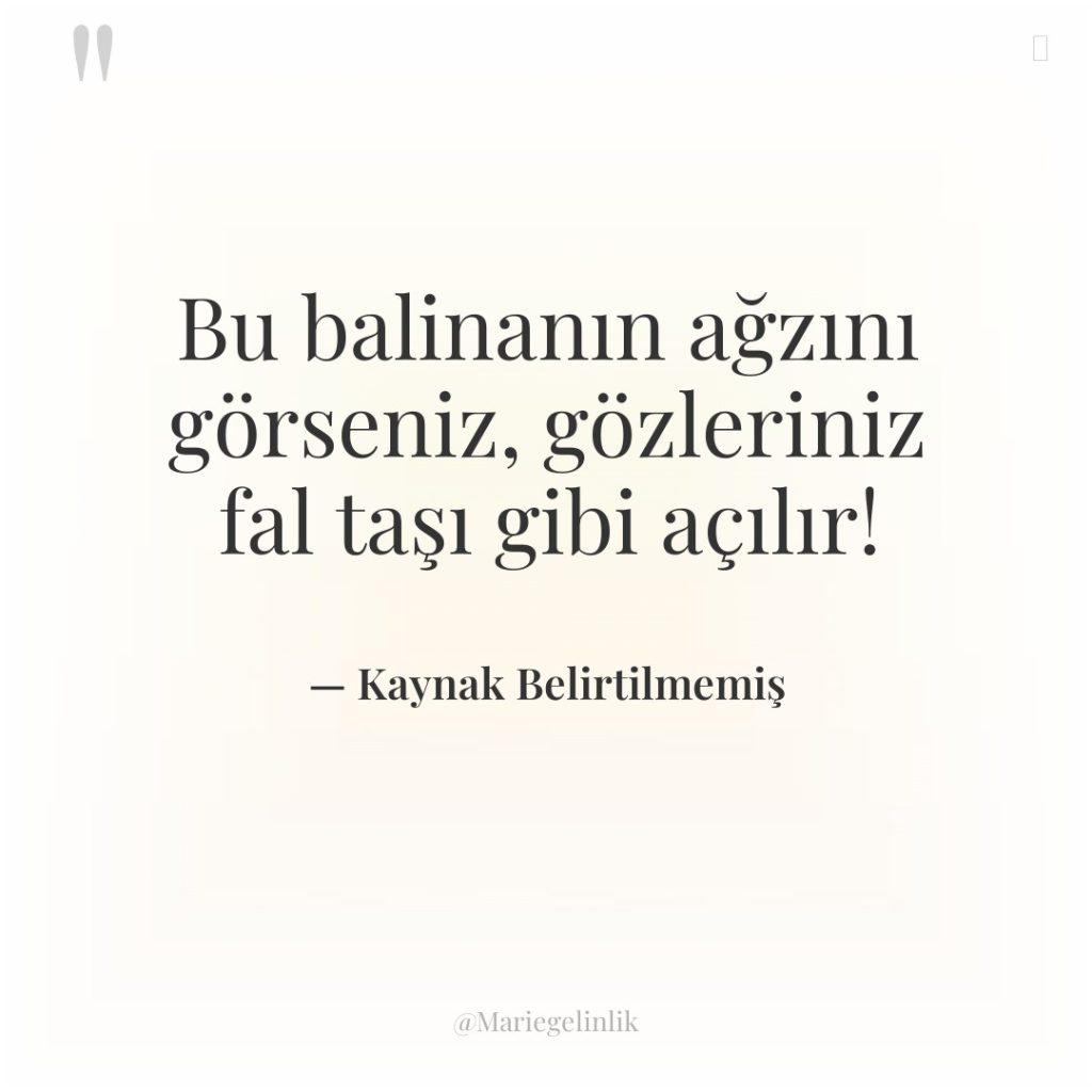 Bu balinanın ağzını görseniz, gözleriniz fal taşı gibi açılır!