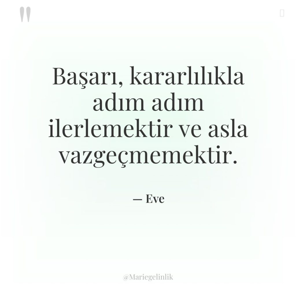 Başarı, kararlılıkla adım adım ilerlemektir ve asla vazgeçmemektir.