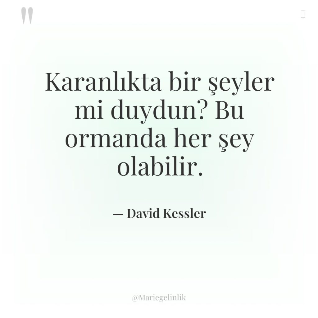 Karanlıkta bir şeyler mi duydun? Bu ormanda her şey olabilir.