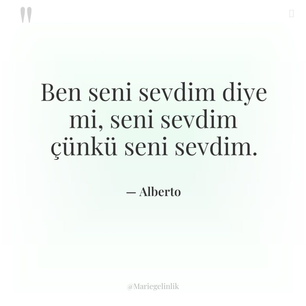 Ben seni sevdim diye mi, seni sevdim çünkü seni sevdim.