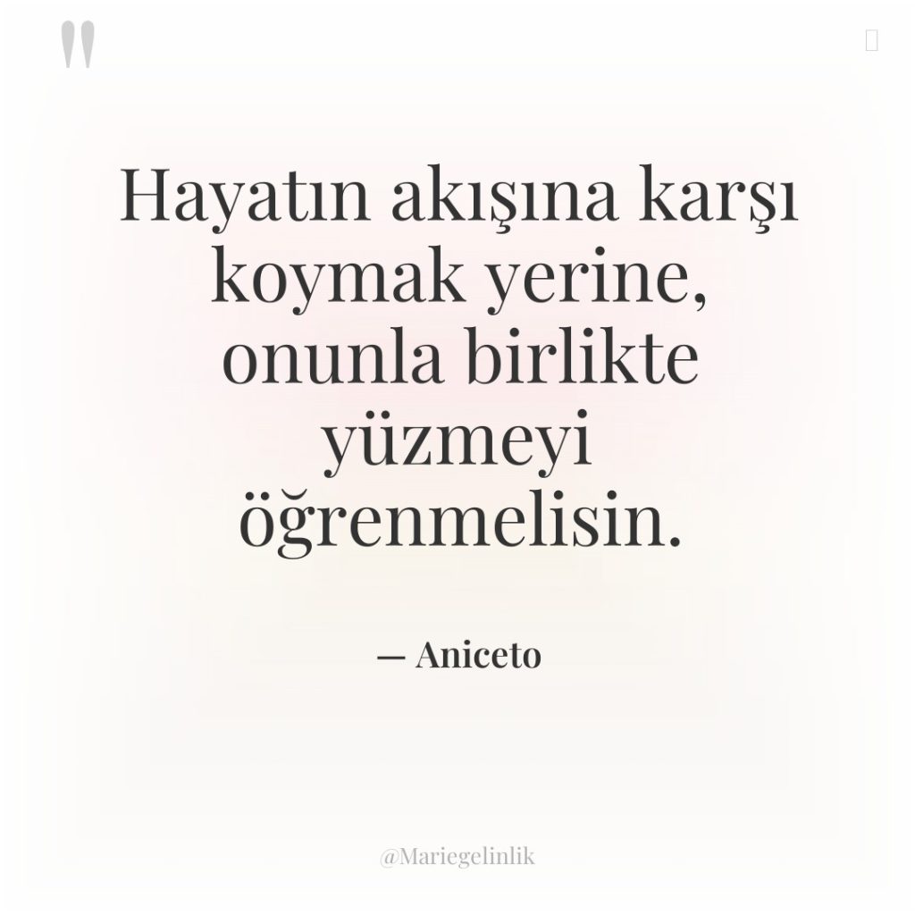 Hayatın akışına karşı koymak yerine, onunla birlikte yüzmeyi öğrenmelisin.