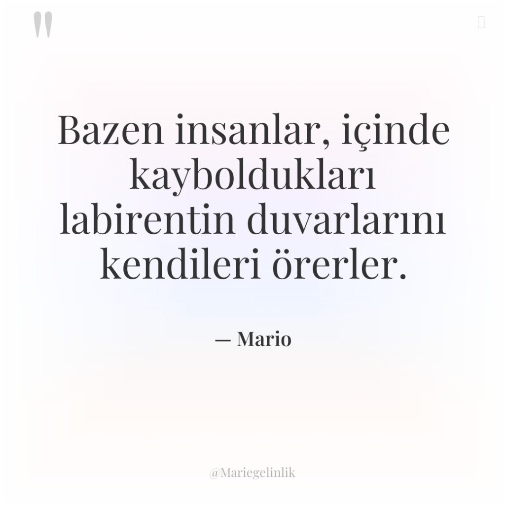 Bazen insanlar, içinde kayboldukları labirentin duvarlarını kendileri örerler.