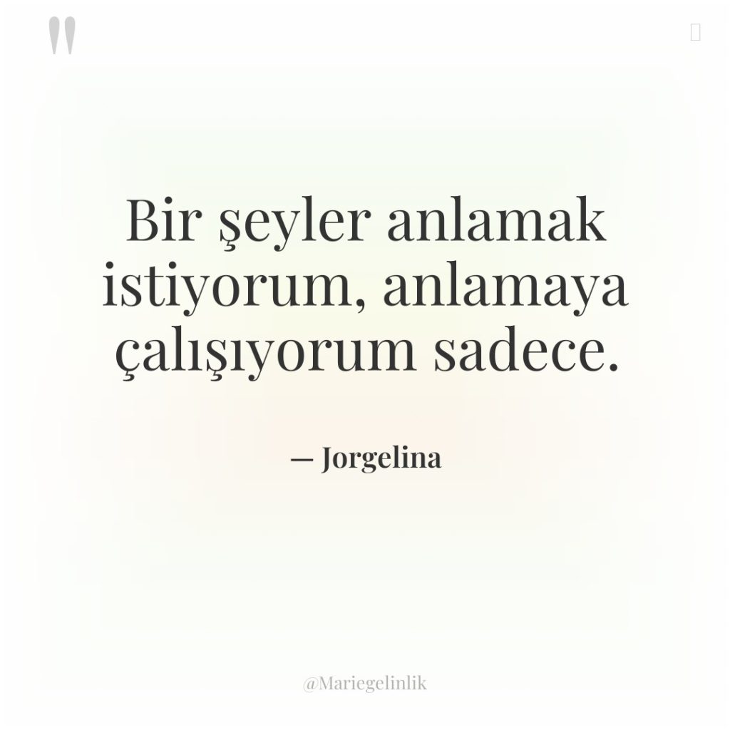 Bir şeyler anlamak istiyorum, anlamaya çalışıyorum sadece.