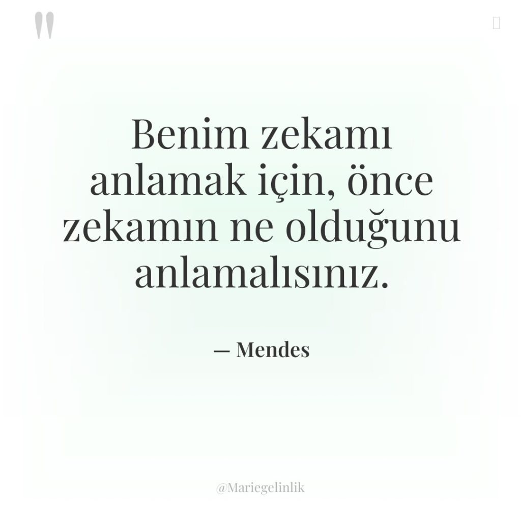 Benim zekamı anlamak için, önce zekamın ne olduğunu anlamalısınız.