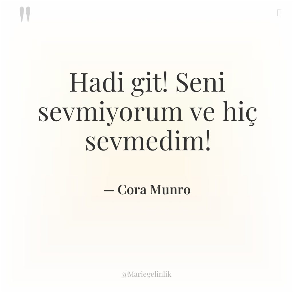 Hadi git! Seni sevmiyorum ve hiç sevmedim!