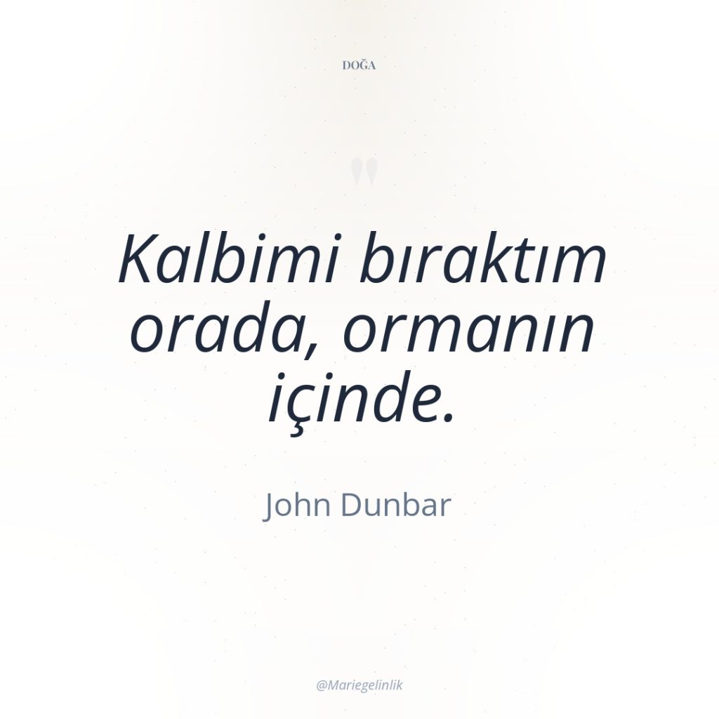 Kalbimi bıraktım orada, ormanın içinde.