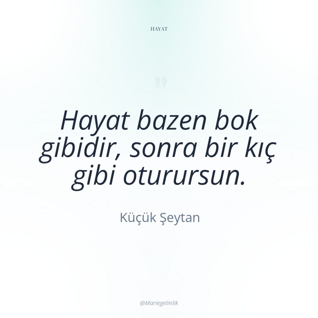 Hayat bazen bok gibidir, sonra bir kıç gibi oturursun.