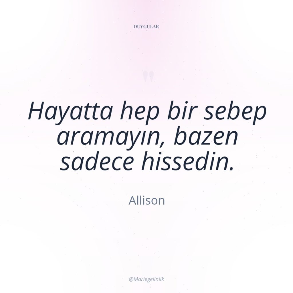 Hayatta hep bir sebep aramayın, bazen sadece hissedin.