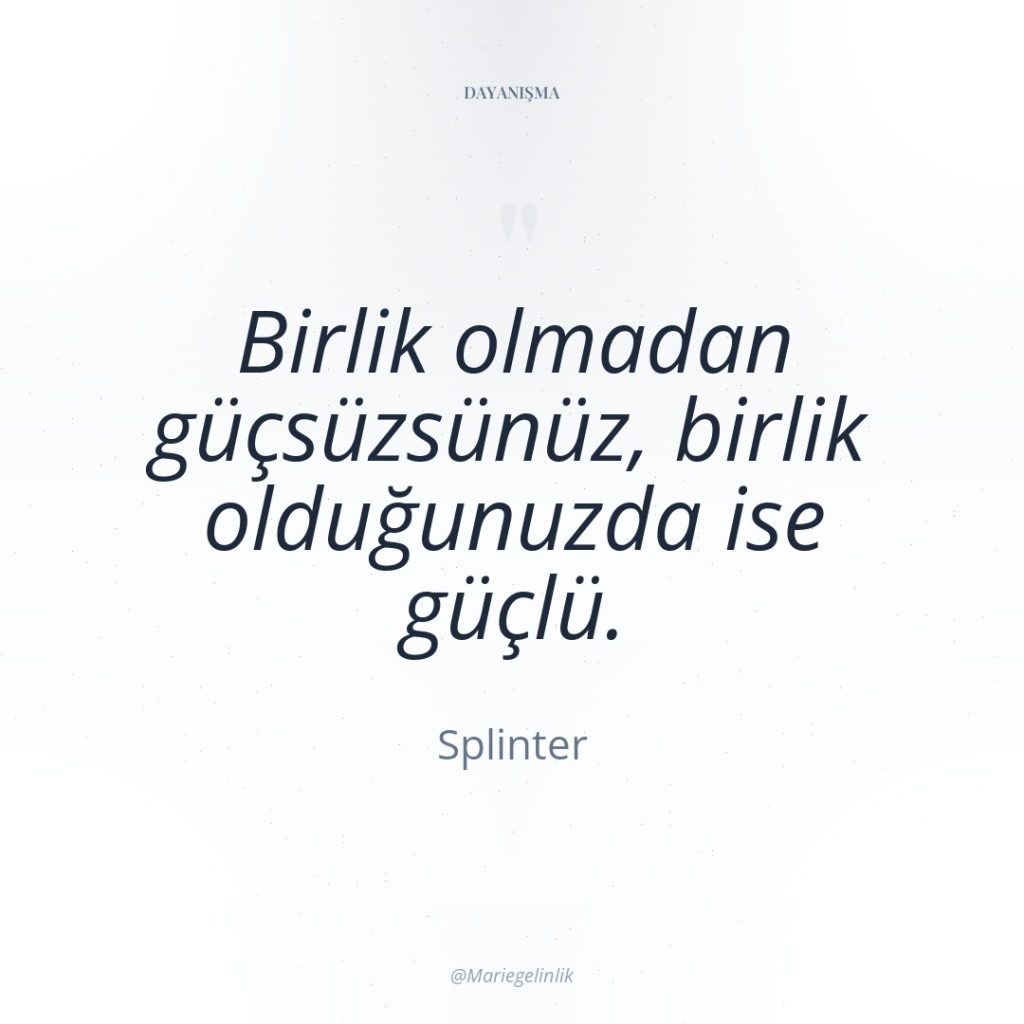 Birlik olmadan güçsüzsünüz, birlik olduğunuzda ise güçlü.
