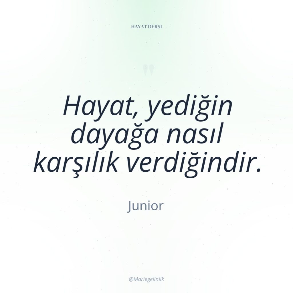 Hayat, yediğin dayağa nasıl karşılık verdiğindir.