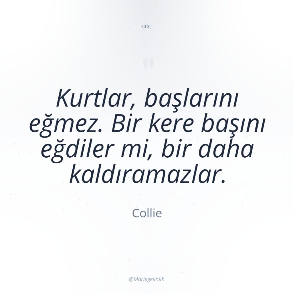 Kurtlar, başlarını eğmez. Bir kere başını eğdiler mi, bir daha…