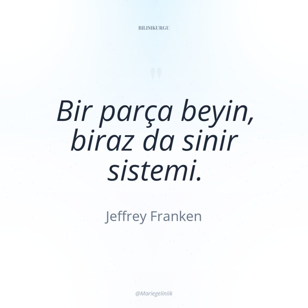 Bir parça beyin, biraz da sinir sistemi.