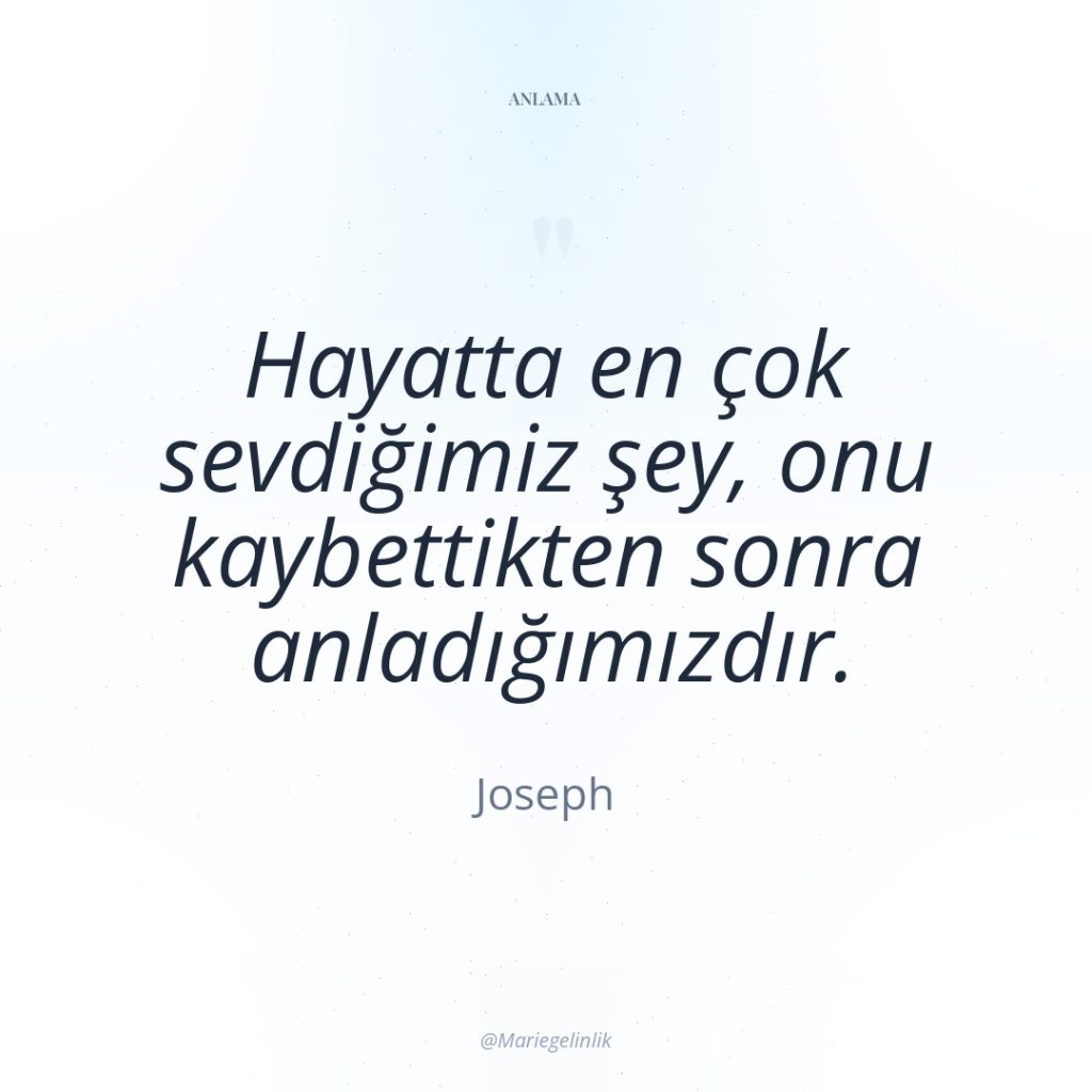 Hayatta en çok sevdiğimiz şey, onu kaybettikten sonra anladığımızdır.