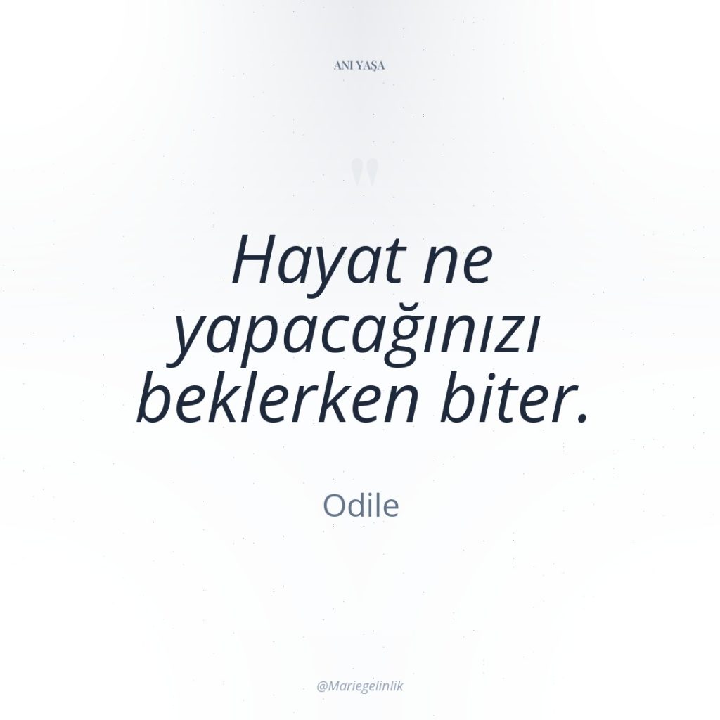 Hayat ne yapacağınızı beklerken biter.