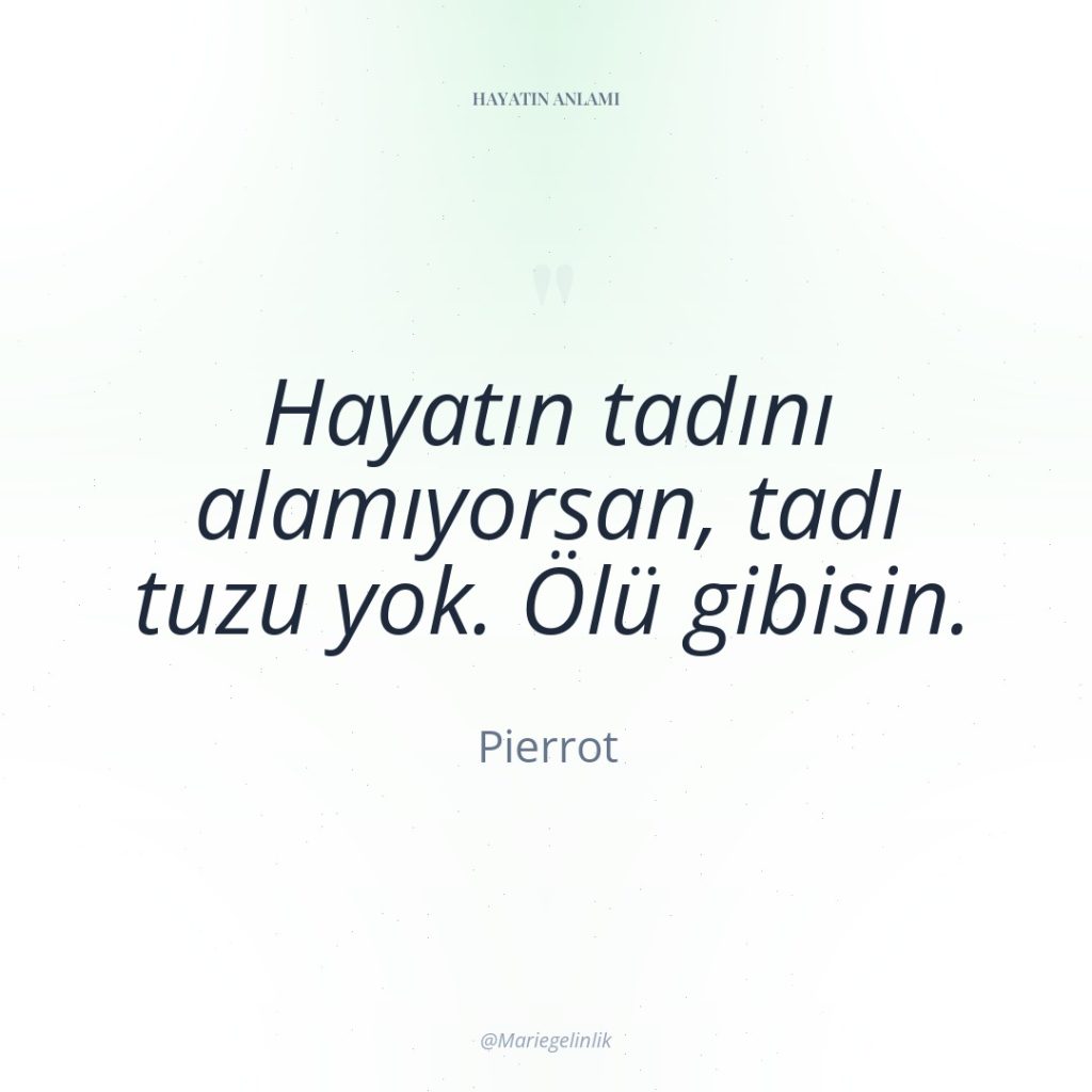 Hayatın tadını alamıyorsan, tadı tuzu yok. Ölü gibisin.