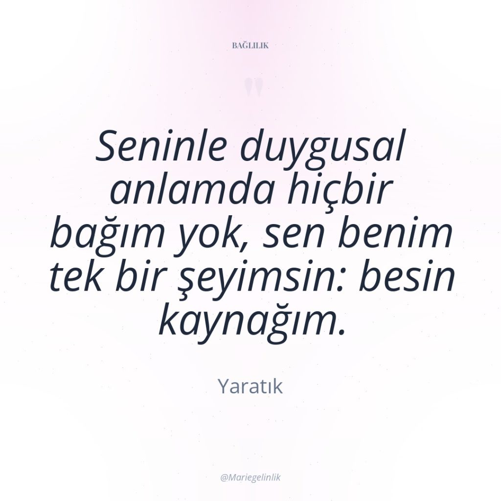 Seninle duygusal anlamda hiçbir bağım yok, sen benim tek bir…