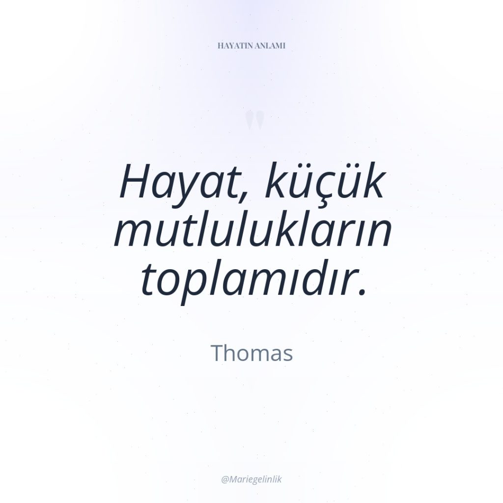 Hayat, küçük mutlulukların toplamıdır.