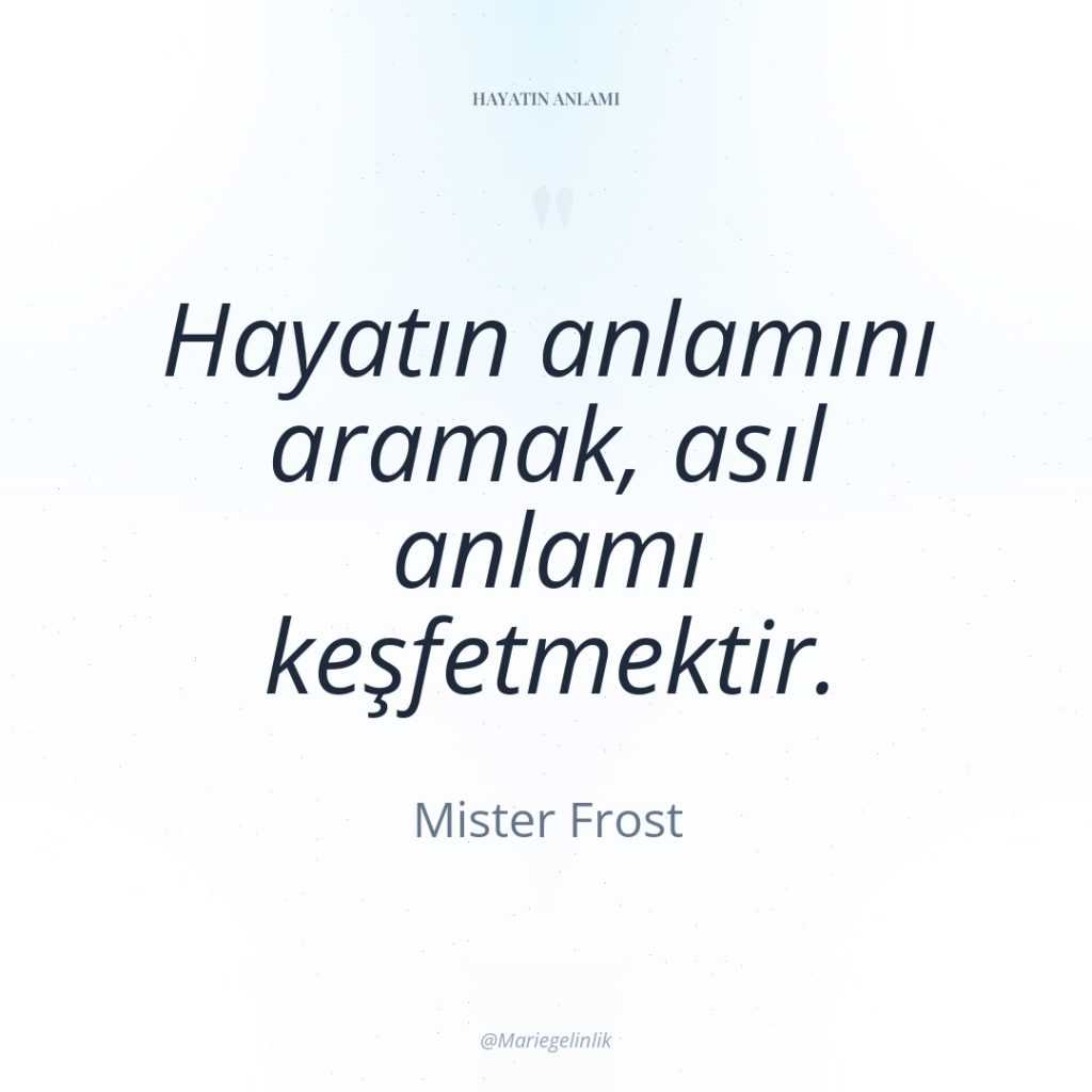 Hayatın anlamını aramak, asıl anlamı keşfetmektir.