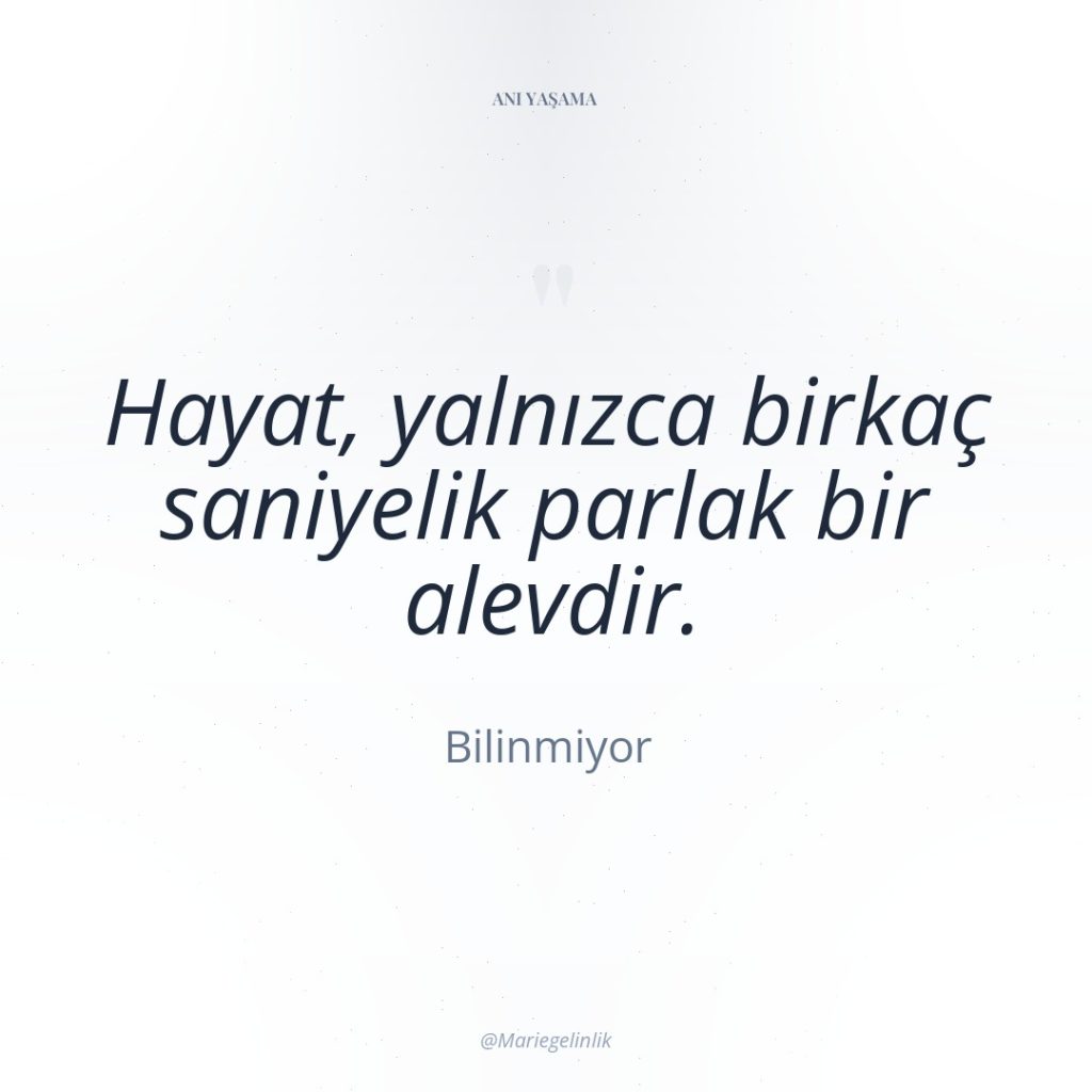 Hayat, yalnızca birkaç saniyelik parlak bir alevdir.