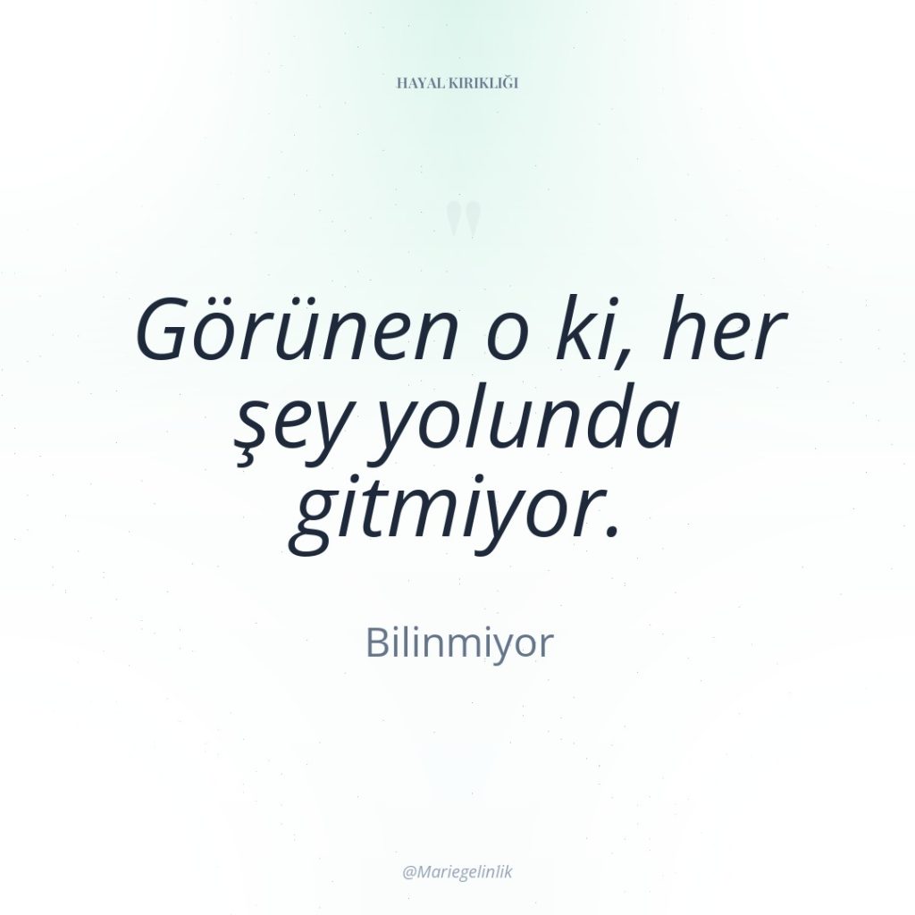 Görünen o ki, her şey yolunda gitmiyor.