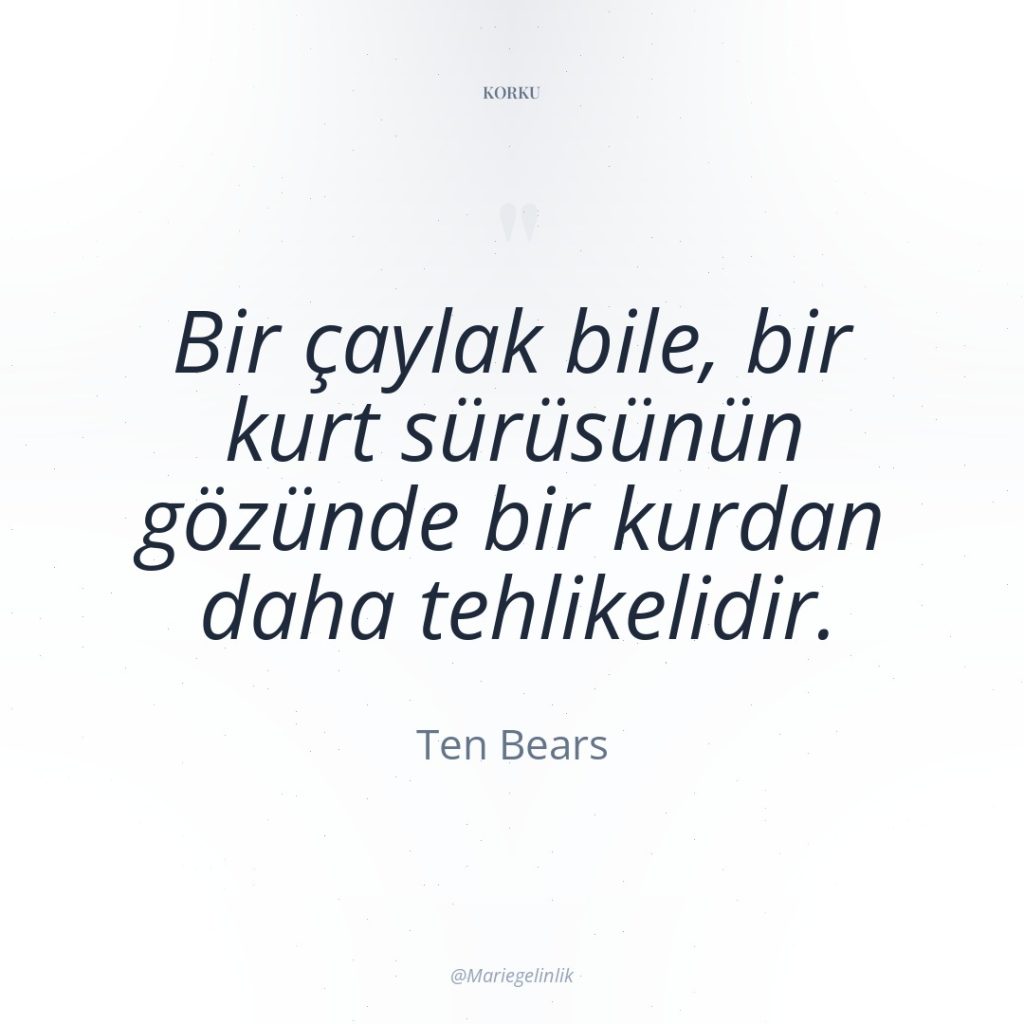 Bir çaylak bile, bir kurt sürüsünün gözünde bir kurdan daha…