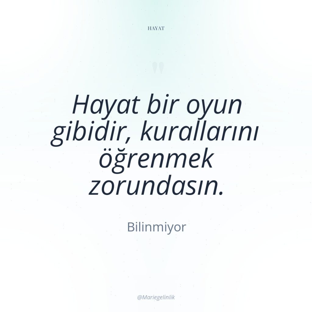Hayat bir oyun gibidir, kurallarını öğrenmek zorundasın.